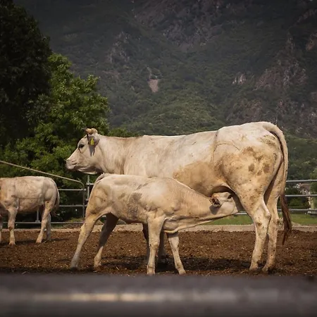 La Campagnola Séjour à la ferme